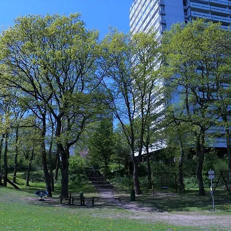 Panoramic App A08-1 希尔克道夫